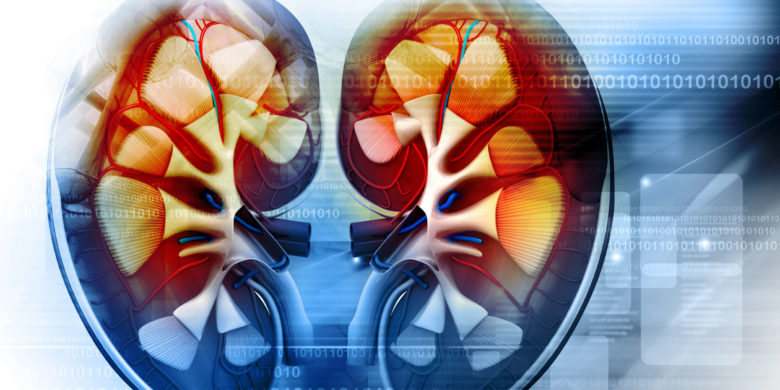 Burial Insurance With Nephropathy