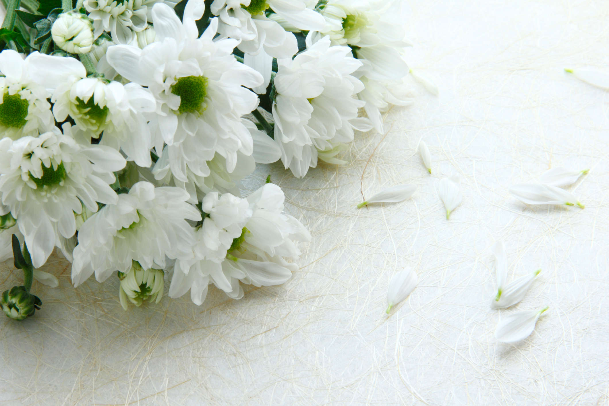 2021 Guide To Selecting The Right Funeral Flowers