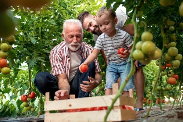 An old man playing in the garden with his son and grandson