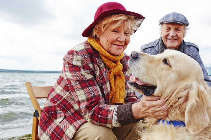 Retired woman petting a golden retriever with her husband