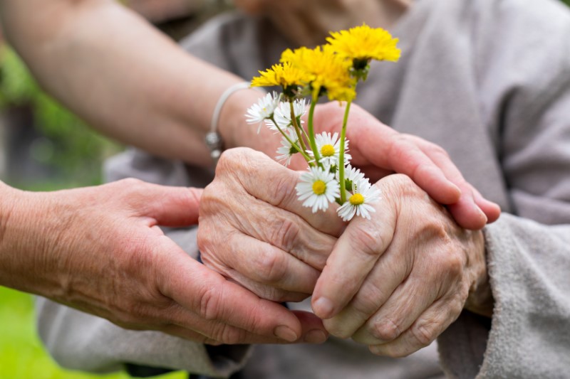 Close up picture of the hands of elderly woman with dementia holding flower bouquet given by caretaker