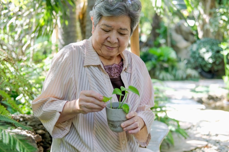 Older Asian woman checking on a plant in her garden