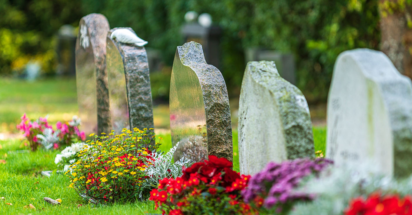 Five headstones in a row with blooming flowers in front of each. 