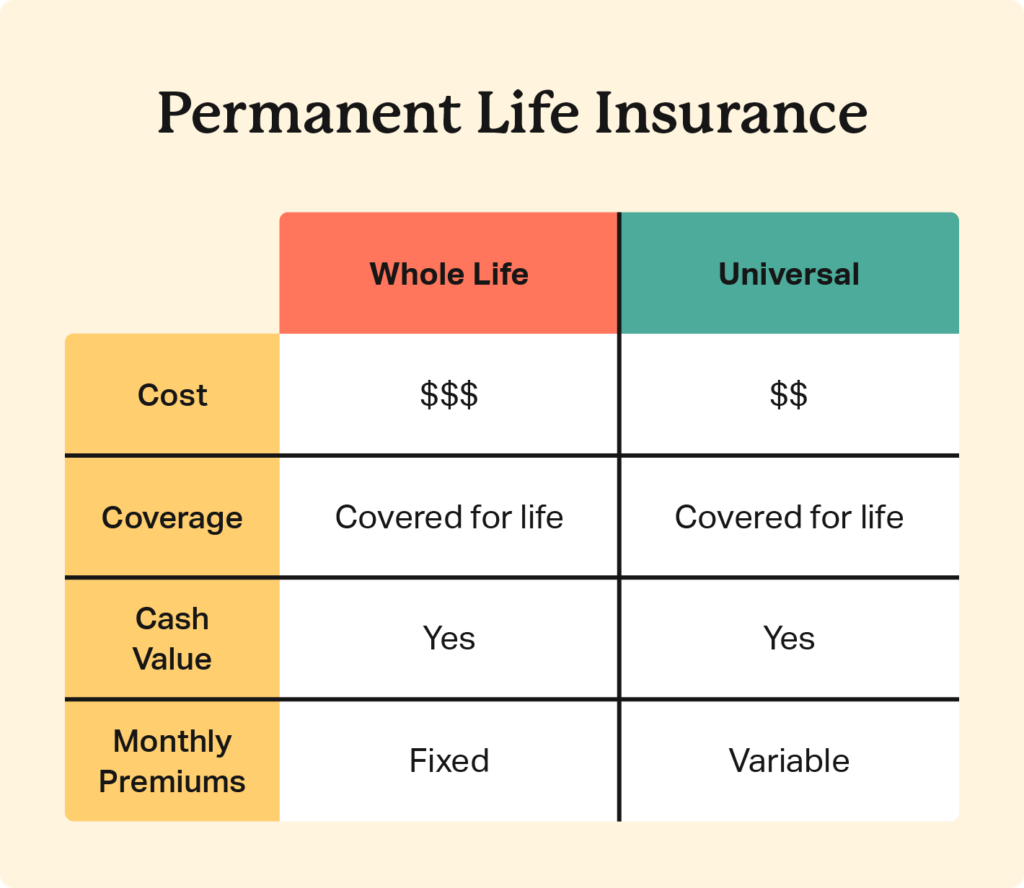 What Is Life Insurance and What Does It Cover?