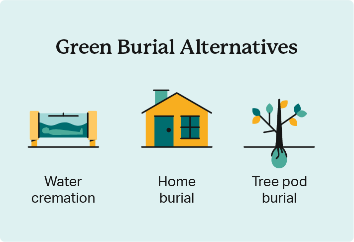 Illustrations indicate the three types of green burial alternatives — aquamation, home burial, and tree pod burials.