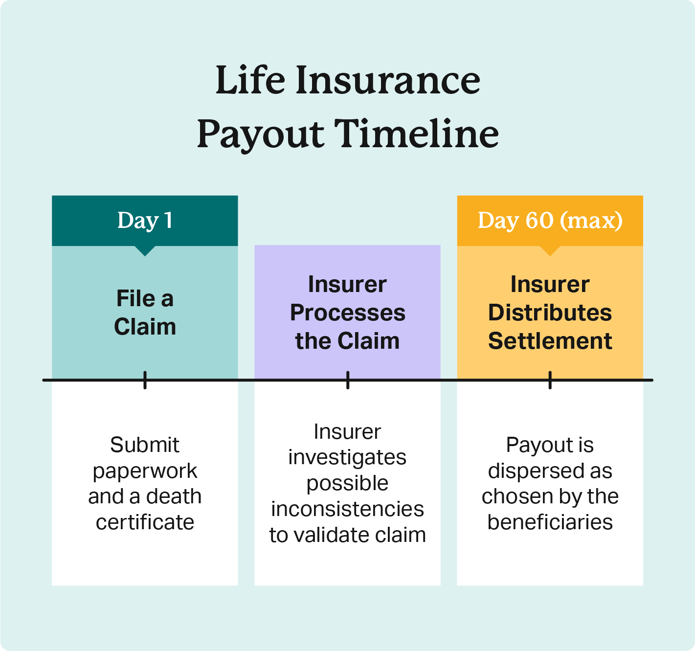 Timeline graph details payout stages from filing, to processing, and finally settlement distribution within 60 days. 