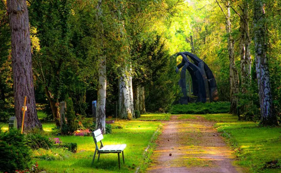 image of a nature reserve-like cemetary