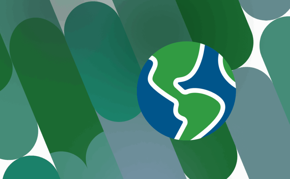 Patterned graphic with Globe life insurance logo