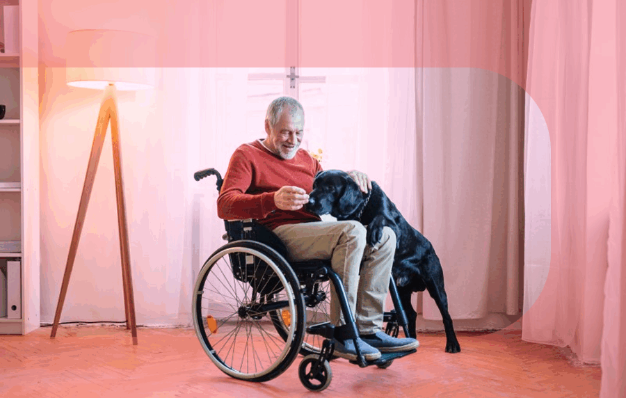 Senior white man in wheelchair at home, with a black lab sniffing his hand