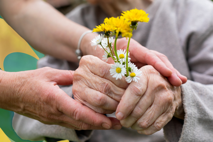 Young hands clapsed around the hands of a senior who is holding white and yellow flowers