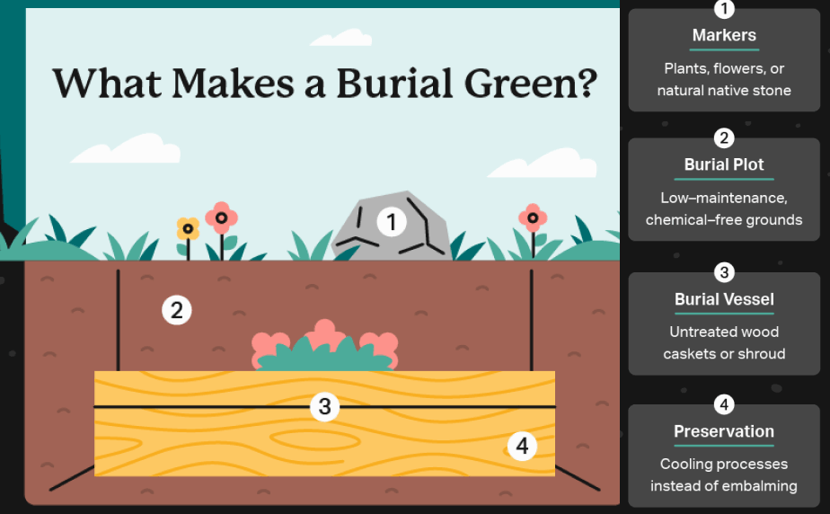 Green Burial Cost Infographic